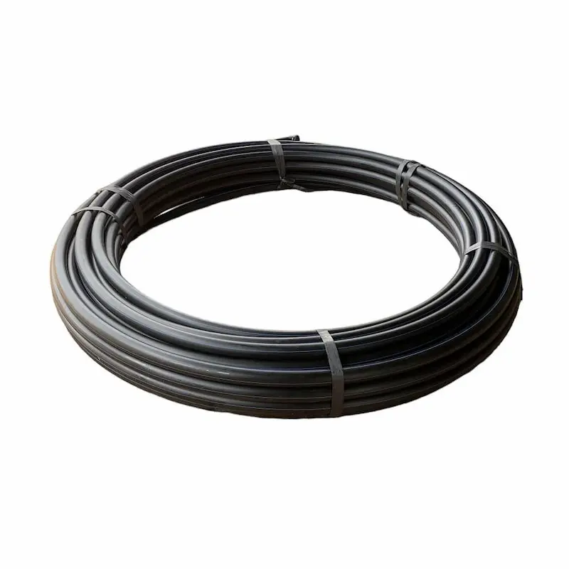 Hình ảnh minh họa (1)