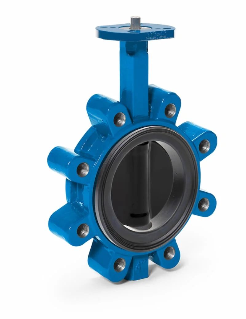 Hình minh họa (3)