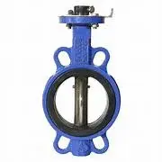 Hình ảnh minh họa (2)