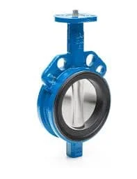 Hình ảnh minh họa (3)