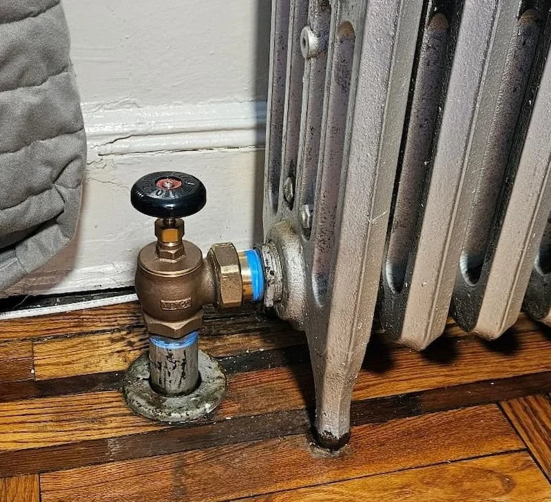 Hình minh họa (1)