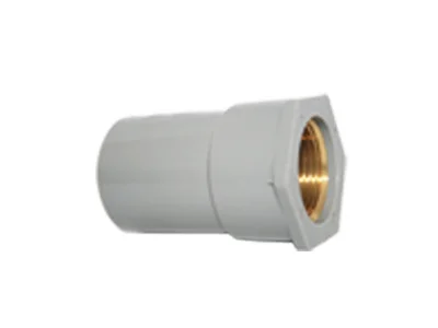 Hình ảnh minh họa (3)