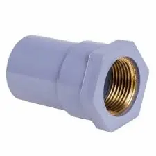 Hình ảnh minh họa (1)