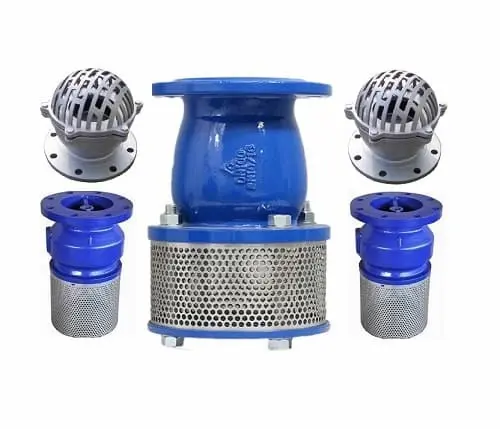 Hình ảnh minh họa (2)