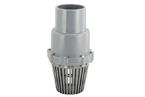 Hình ảnh minh họa (3)