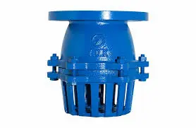 Hình ảnh minh họa (1)