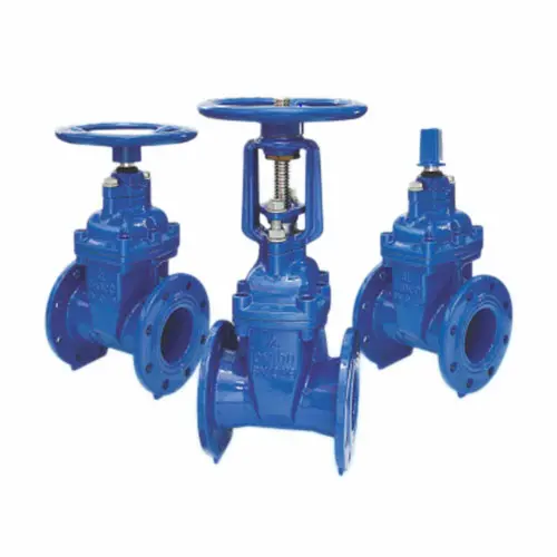 Hình ảnh minh họa (2)