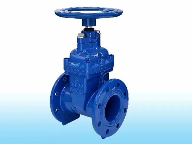 Hình ảnh minh họa (1)