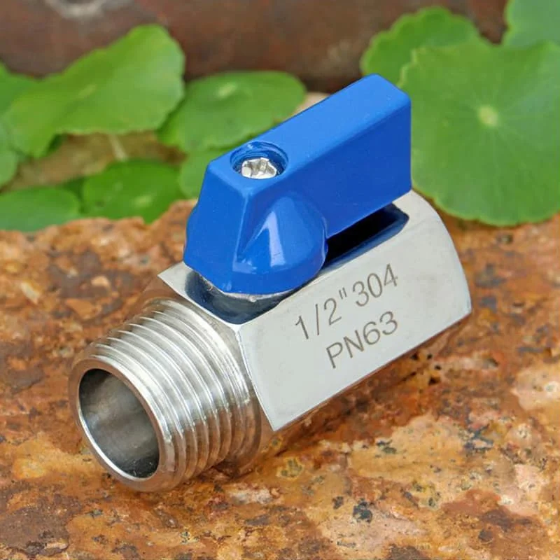 Hình minh họa (1)