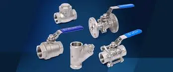 Hình ảnh minh họa (1)