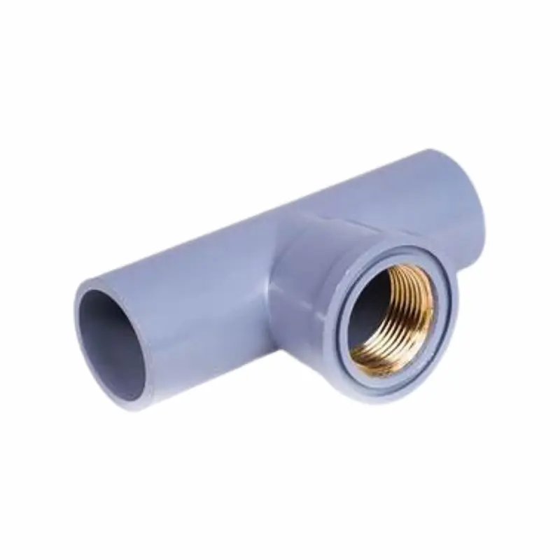 Hình ảnh minh họa (1)