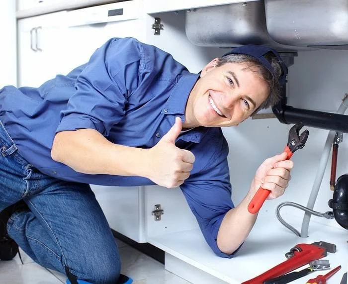 Hình ảnh minh họa (3)