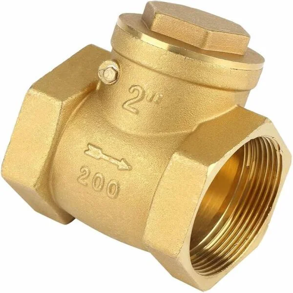 Check valve 2 inch
