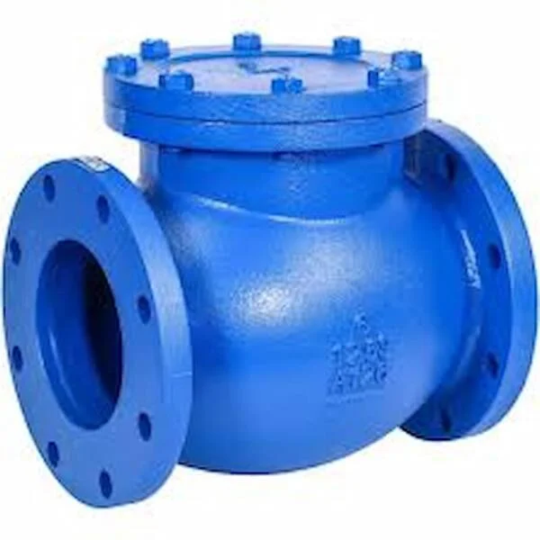 Check valve 6 inch