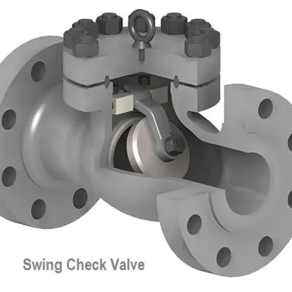 Check valve swing