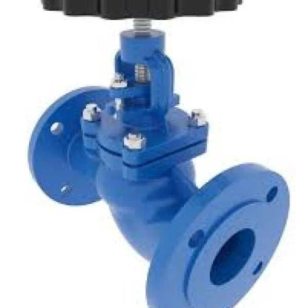 DN20 valve