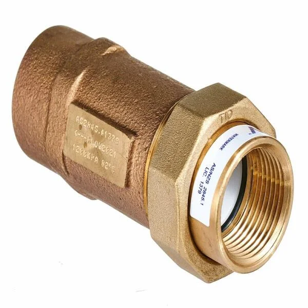 Dual check valve
