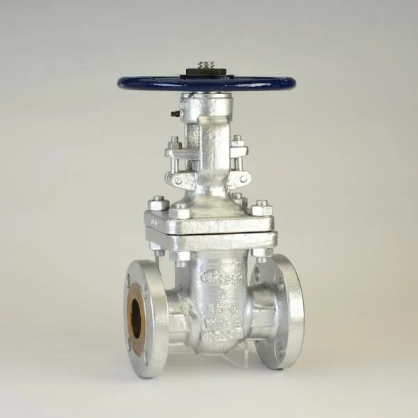 Gate valve 150