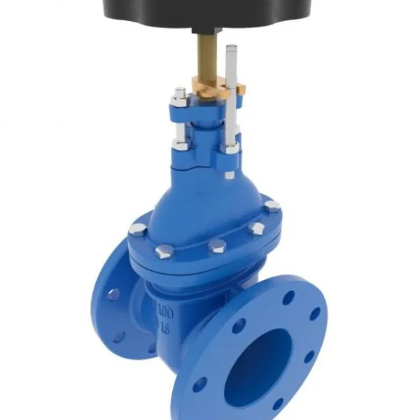 Gate valve Dn50