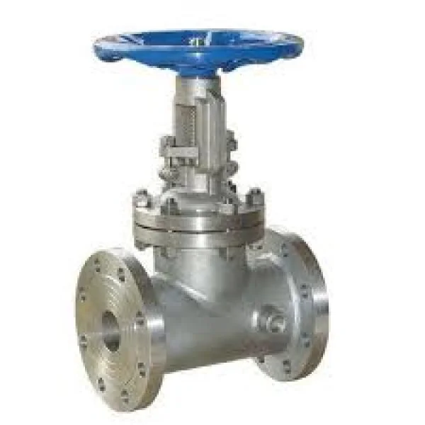 Gate valve steam