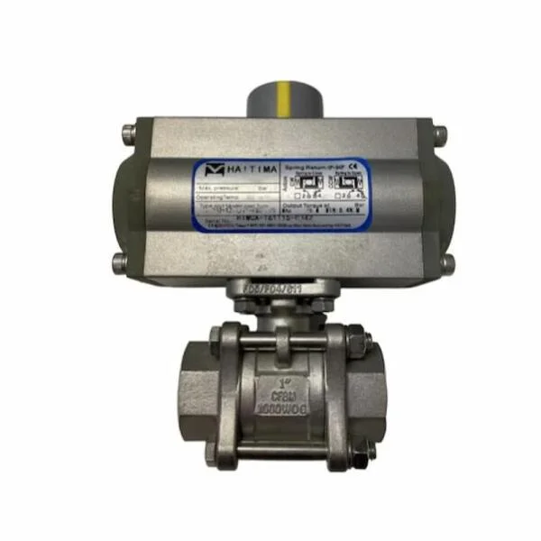 Haitima valve