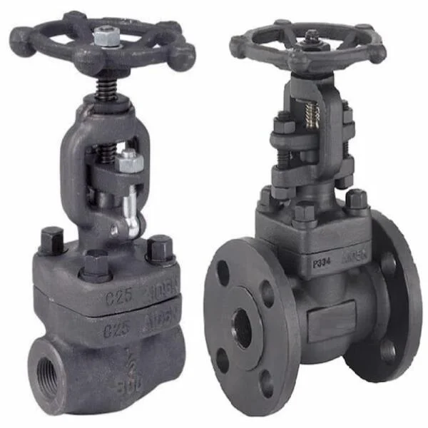 SW valve