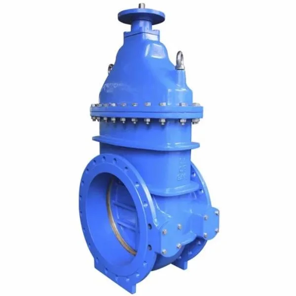 Talis gate valve