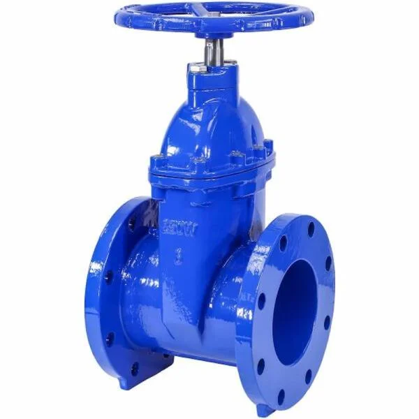 Gate valve 6 inch