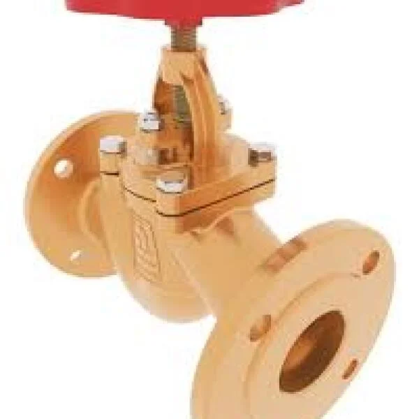 Globe valve DN 50