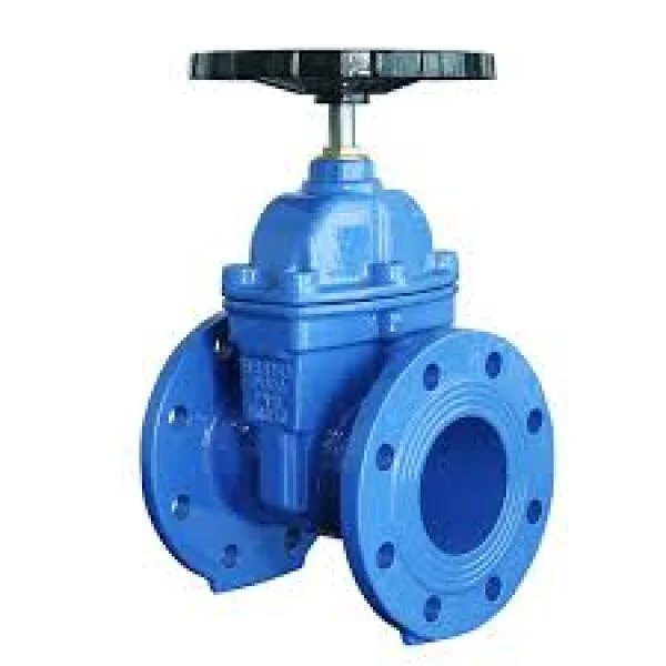 Valve DN 100