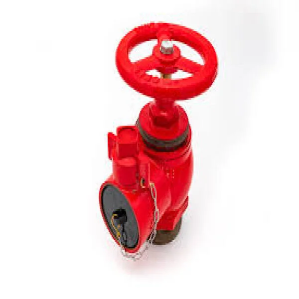 Tìm hiểu về fire hydrant valves