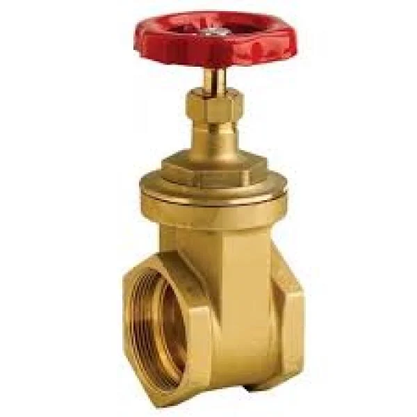 Tổng quan về Gate valve 1 2