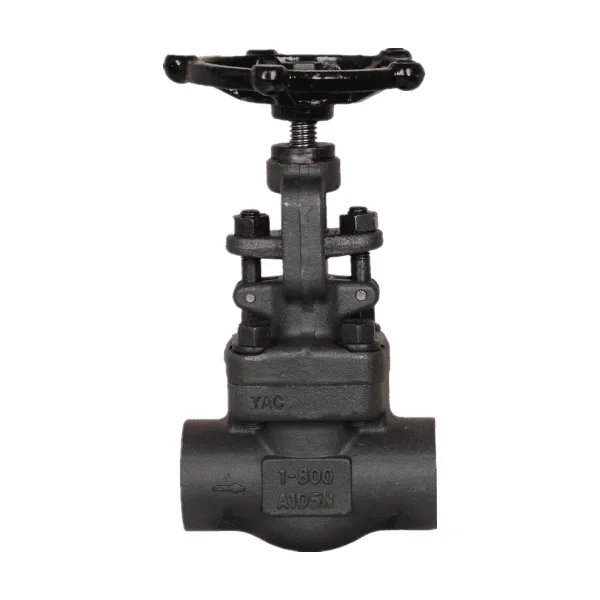 Giới thiệu về globe valve 1 2 inch