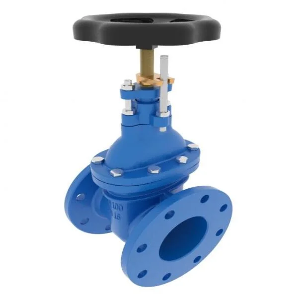 Tổng quan về valve dn 50