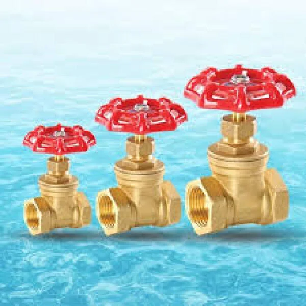 Tìm hiểu về van nước hai chiều