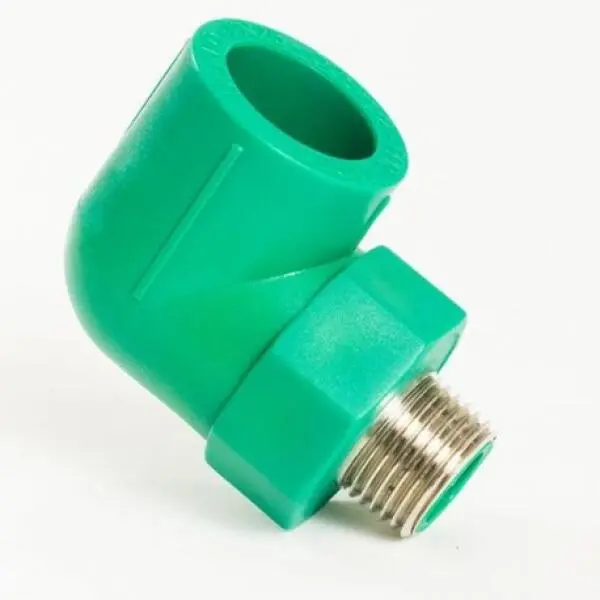Co ren ngoài 34