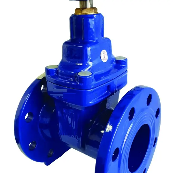 Flange Type Gate Valve