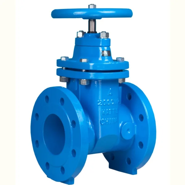 Gate Valve 6