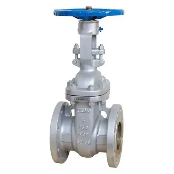 Gate valve DN25