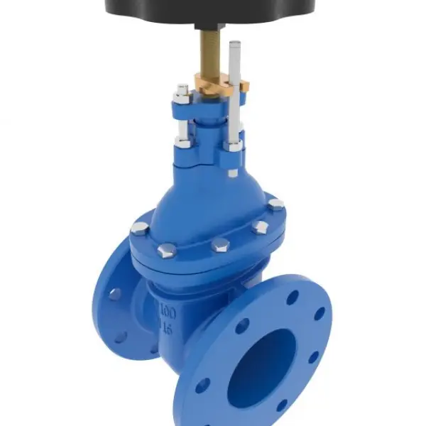 Gate Valve Dn65