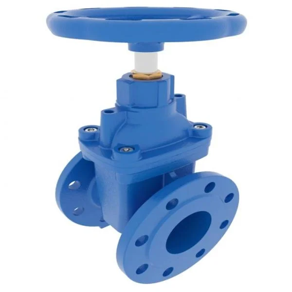 Gate Valve Dn80