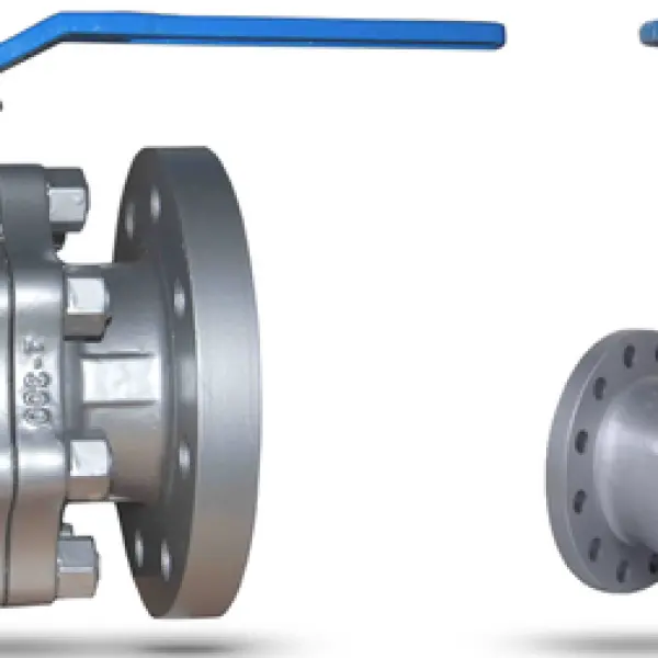 Globe Valve And Ball Valve