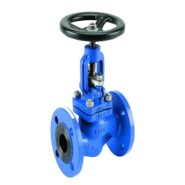 Globe Valve DN80