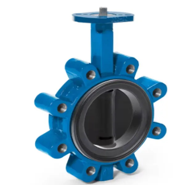 Lug type butterfly valve