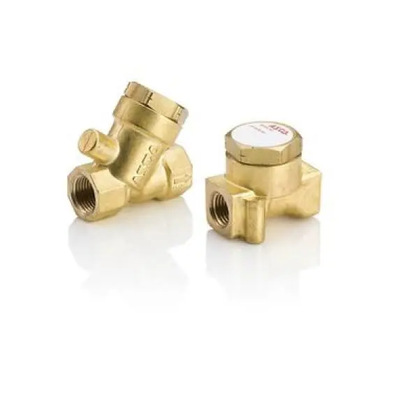 Npv Valve