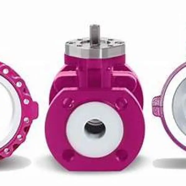 PTFE Valve