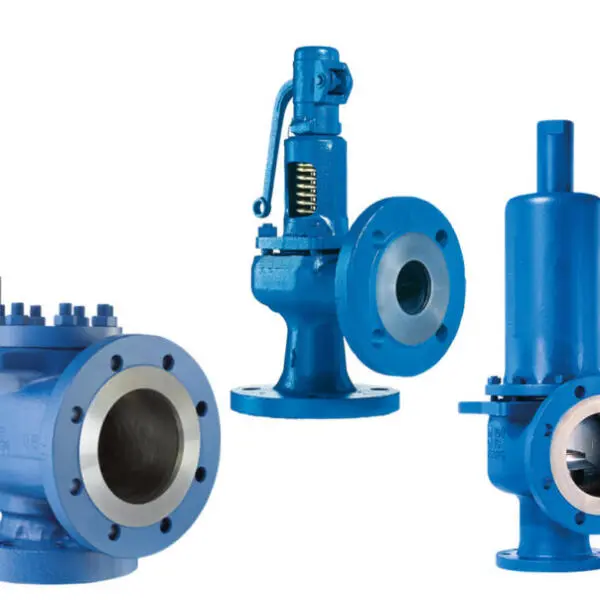 Safe Valve