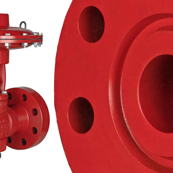 Valve Flanges