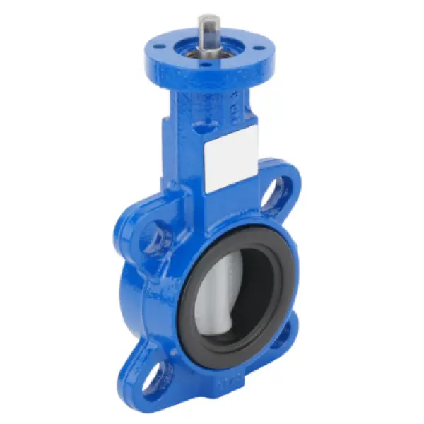 Butterfly valve DN25