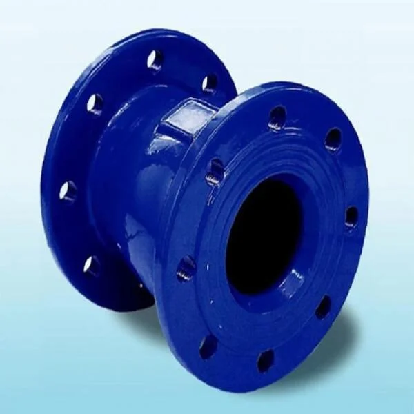 Van Nước 1 Chiều Lò Xo